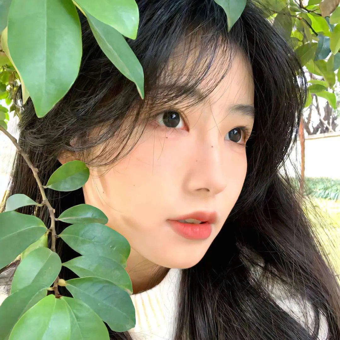 连环情杀案